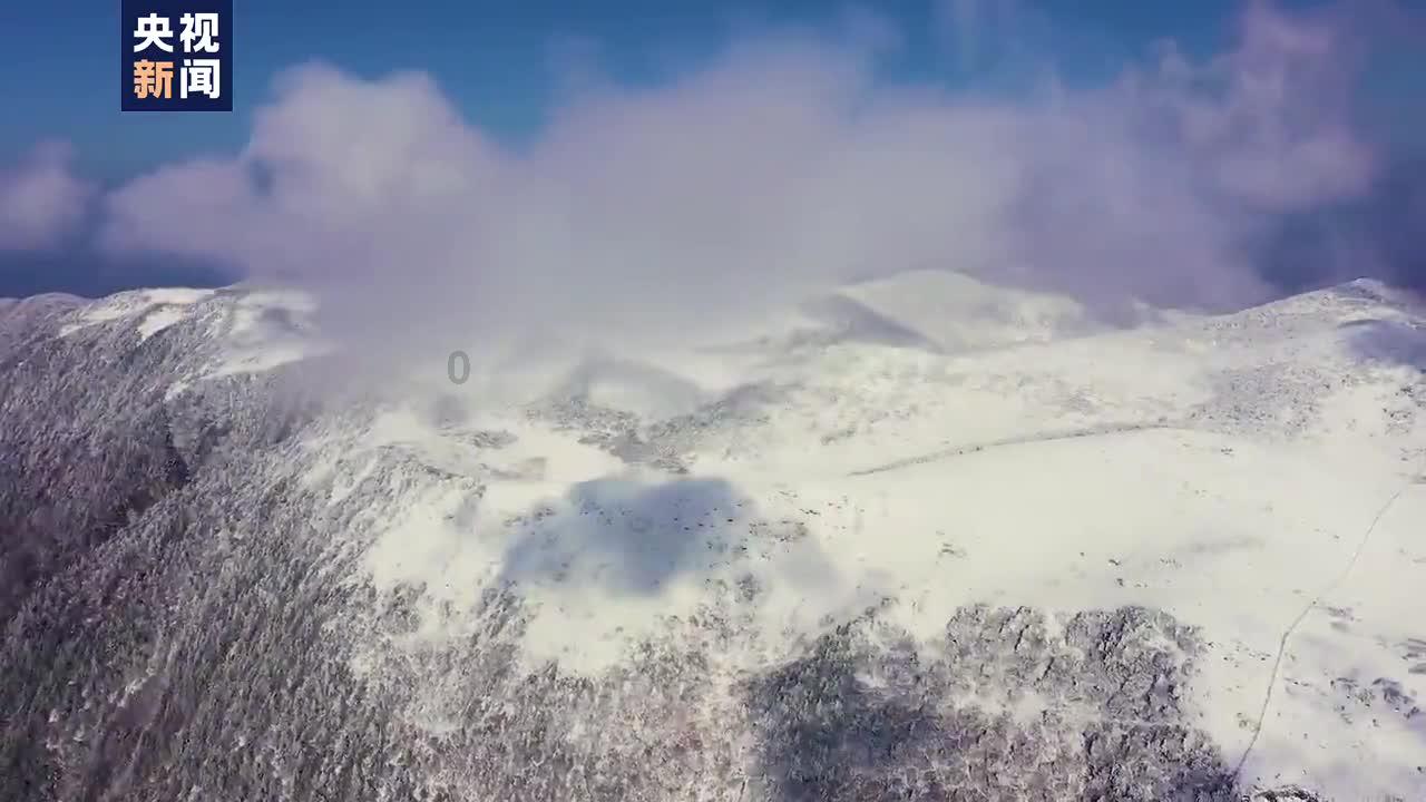 皮皮虾蒸几分钟游戏画面