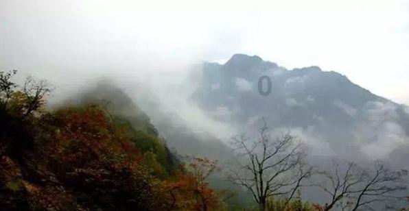 组装机械机甲暴龙2