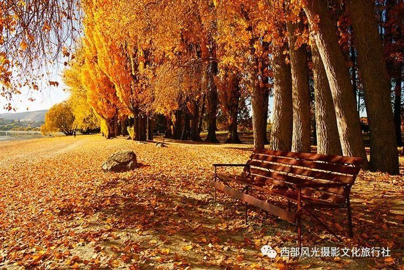 探索关于房地产!,一站式知识星球平台