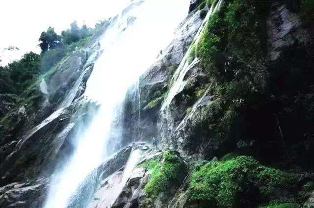 逃离阴森的岛屿