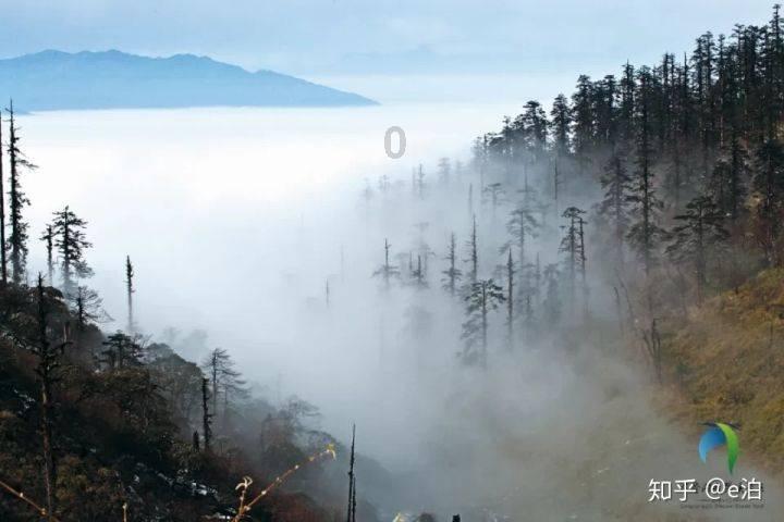 瞳术使用者