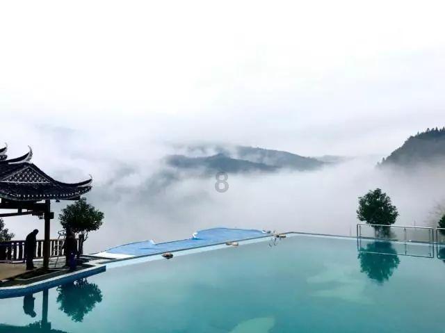 炖鸡炖鹅有人焯水，有人油炸都不对，教你正确做法，鹅肉鲜嫩入味游戏画面
