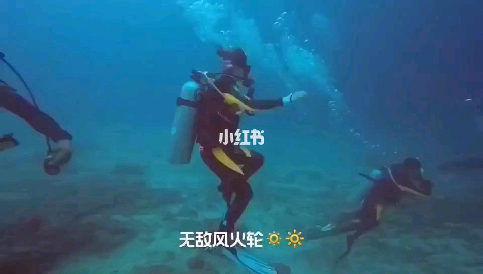终结者2官方手游