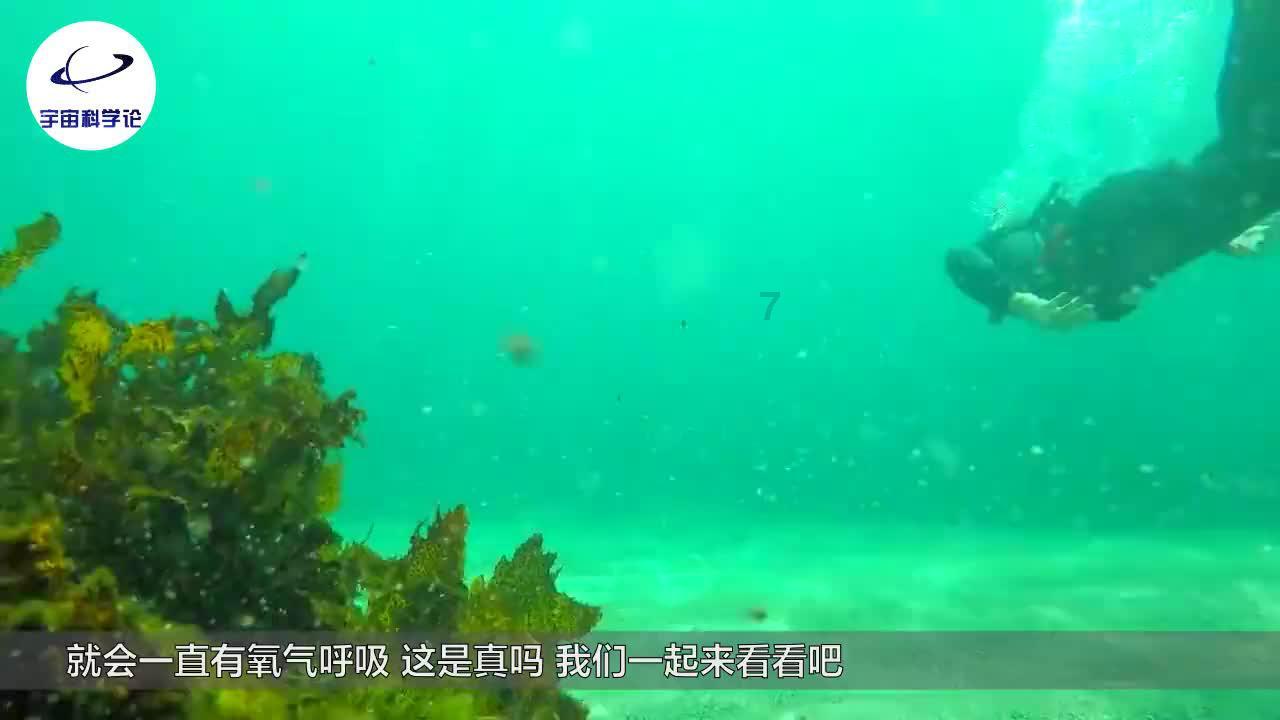 飞机失事时,作为一个乘客如何自救?—最全面的问答网站