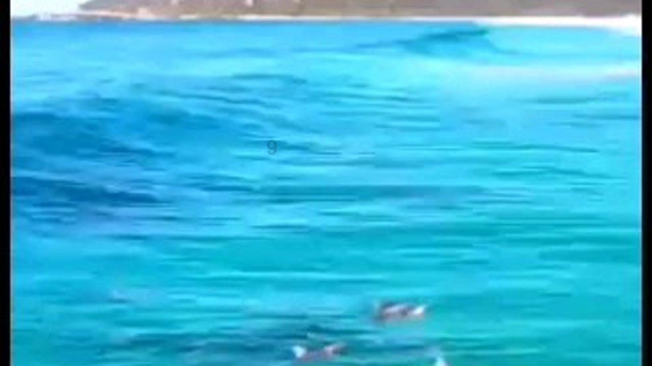 劲舞团