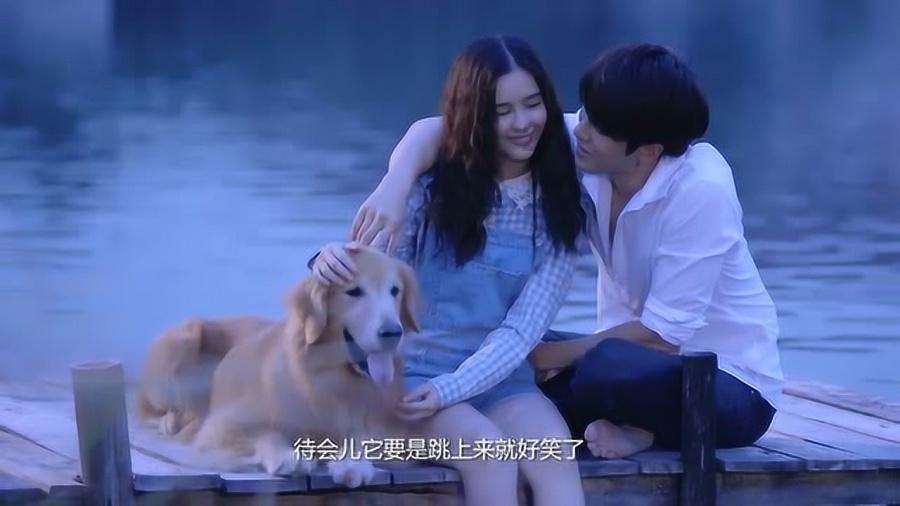 急速变色龙