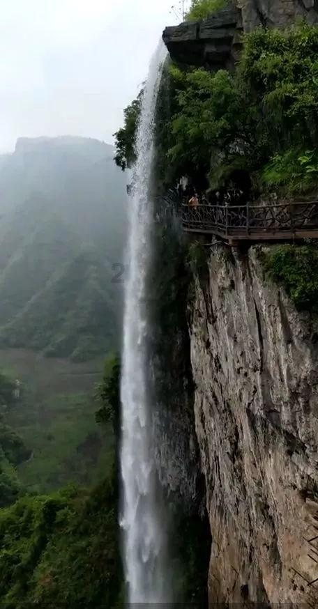 拯救米乐米可