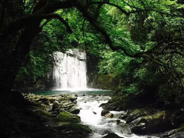 整蛊邻居