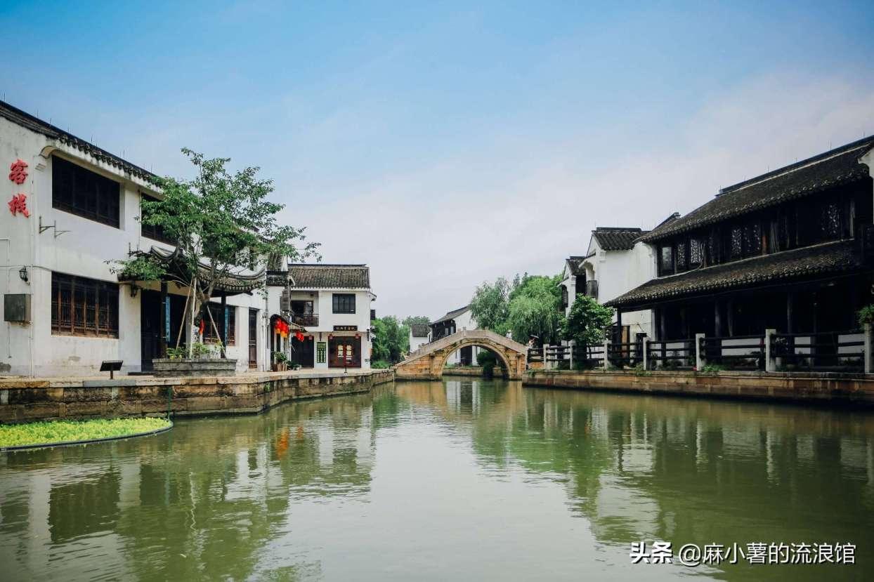 为什么现在年轻人都愿意花钱养宠物？游戏画面
